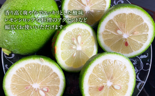 国産レモン A品 3kg (県認証特別栽培)