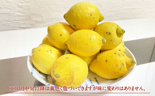 【2023年9月上旬発送開始】【訳あり】国産レモン 1.5kg (県認証特別栽培) 防腐剤・ワックス不使用