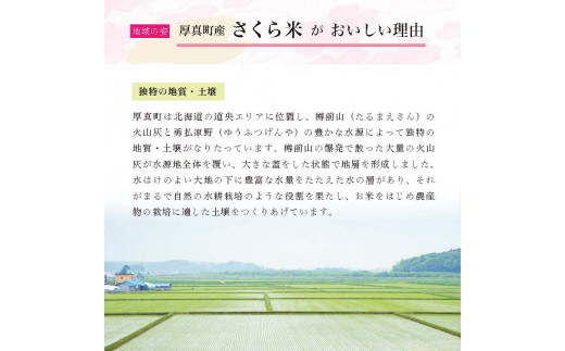 アイテムID:315154の画像7枚目