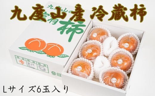  【まごころ栽培】九度山の冷蔵富有柿Lサイズ6玉入り＜2026年1月下旬～2026年2月中旬頃に順次発送＞【tec411A】 