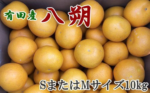 【手選果】有田産の八朔10kg(SまたはMサイズいずれかお届け)<2026年1月下旬~2026年2月下旬頃に順次発送>【tec845A】 2205988 - 和歌山県新宮市