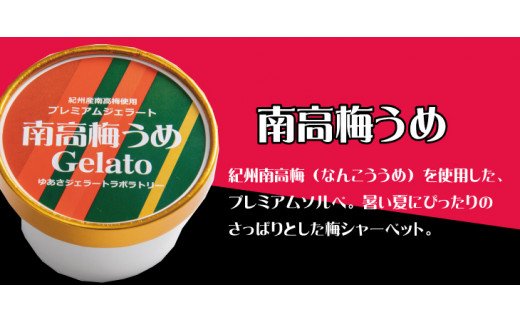 プレミアムジェラート 南高梅うめソルベ12個セット アイスクリームセット 100mlカップ ゆあさジェラートラボラトリー[sgtb700-06]