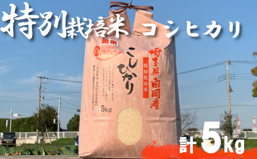 ＜令和6年産＞特別栽培米　コシヒカリ　5kg　【11246-0108】