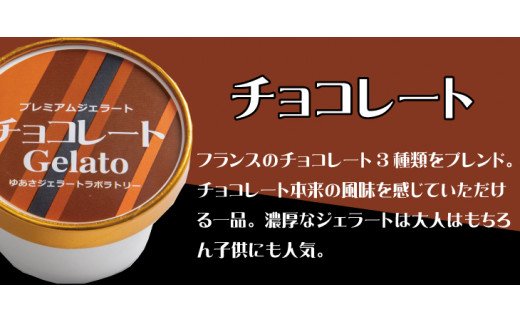 プレミアムジェラート チョコレート12個セット アイスクリームセット 100mlカップ ゆあさジェラートラボラトリー[sgtb700-03]