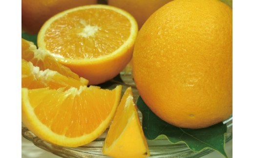 バレンシアオレンジ[約5kg]湯浅町田村産春みかん春かんきつ(無選別・果実サイズ混合) ※2025年6月中旬〜7月下旬頃に順次発送[sgtb491A]