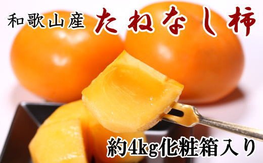 【秋の味覚】和歌山産のたねなし柿2L～4Lサイズ約4kg（化粧箱入り）※2025年10月上旬～2025年11月上旬頃順次発送【tec409A】 2205951 - 和歌山県新宮市