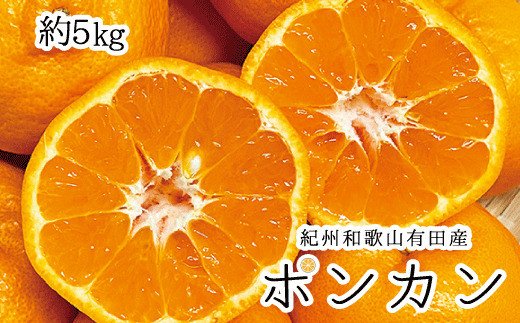 紀州和歌山有田産ポンカン 5㎏ ※2026年2月上旬頃~2026年2月下旬頃に順次発送(お届け日指定不可)【uot722】 2206047 - 和歌山県新宮市