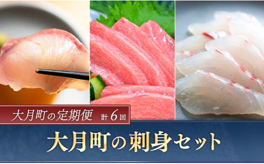 定期便 本マグロ 鯛 ブリのお刺身 計6回お届け 高知県大月町 ふるさと納税 ふるさとチョイス