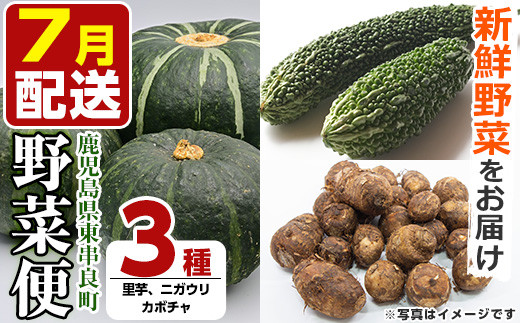【11598】<7月発送>自慢の農家×老舗青果店の新鮮でおいしい野菜便(里芋・ニガウリ・かぼちゃ)【有留青果】