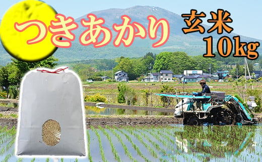 【2024年11月発送開始】 令和6年産 新米 つきあかり 玄米 10kg ／ 米 産地直送 岩手県産 【かきのうえ】 688560 - 岩手県八幡平市
