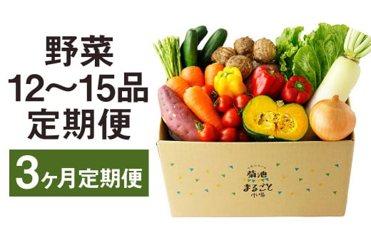 【定期便3回】野菜 12品～15品 詰め合わせ 3ヶ月定期便【メロンドーム】