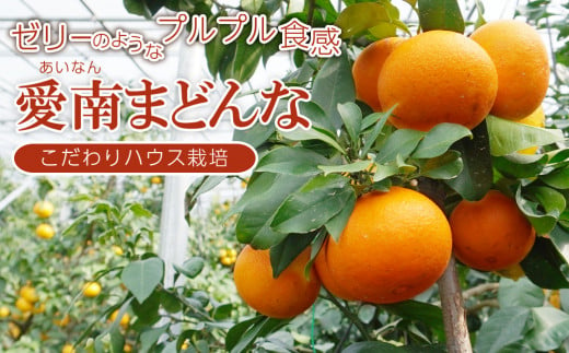 果樹園みどり 愛南 まどんな 4.5kg 家庭用ミックス 発送期間: 12月1日～