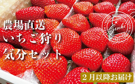 完熟 いちご狩り気分セット お家で食べ比べ 埼玉県羽生市 ふるさと納税 ふるさとチョイス