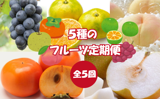 5か月定期便 フルーツ好き必見 5種のフルーツ定期便 桃 梨 ピオーネ 早生みかん 柿 和歌山産フルーツを美味しい旬にお届け 和歌山県新宮市 ふるさと納税 ふるさとチョイス