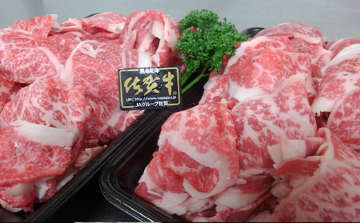日本でも指折りのブランド牛、佐賀牛の柔らかい肉質と旨みを
ぜひご堪能ください。ワンランク上の食卓に♪