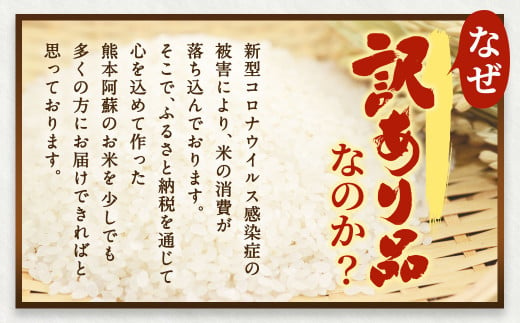 選べるお米 熊本ヒノヒカリ・森のくまさん 合計14kg 熊本県産 白米 新鮮