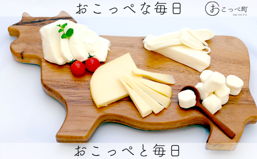 さけるタイプのフレッシュチーズ。ほんのりミルク味に塩味をプラス！そのままでも良し、お料理にもお勧めです。