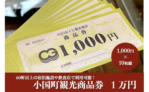 小国町観光商品券1万円 1000円 10枚 熊本県小国町 ふるさと納税 ふるさとチョイス