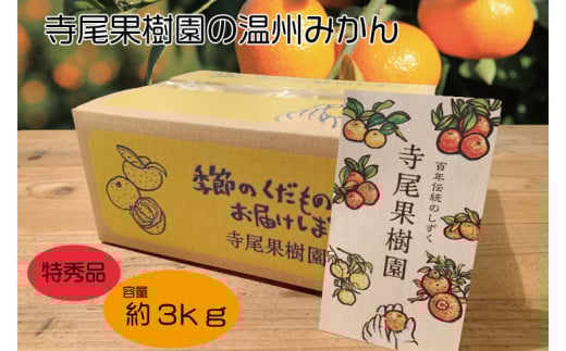 百太郎みかん(温州みかん)　特秀品　3kg(土居町天満産) 541592 - 愛媛県四国中央市