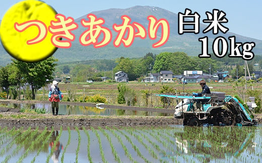 【2024年11月発送開始】 令和6年産 新米 つきあかり 精米 10kg ／ 白米 産地直送 岩手県産 【かきのうえ】 688556 - 岩手県八幡平市