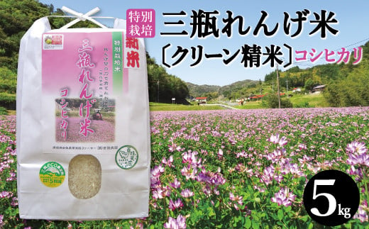 〈クリーン精米〉特別栽培 三瓶れんげ米コシヒカリ 5kg【令和5年度産 2023年産 特別栽培米 コシヒカリ 5kg エコロジー米 無化学肥料 減農薬米】 249384 - 島根県大田市