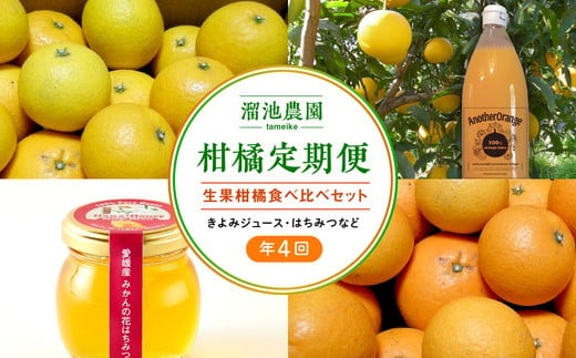 【定期便】溜池農園　柑橘定期便（年4回） 283998 - 愛媛県伊方町