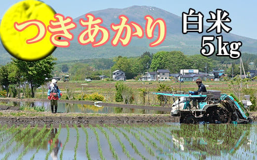 【2024年11月発送開始】 令和6年産 新米 つきあかり 精米 5kg ／  白米 産地直送 岩手県産 【かきのうえ】 688555 - 岩手県八幡平市