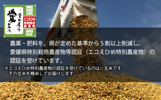 令和4年産「石鎚銀しゃり米（ヒノヒカリ）」（5kg・精米） 米 5