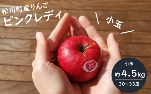 PL01-22A ピンクレディー® 希少なりんご（小玉）約4.5kg／2月下旬から発送