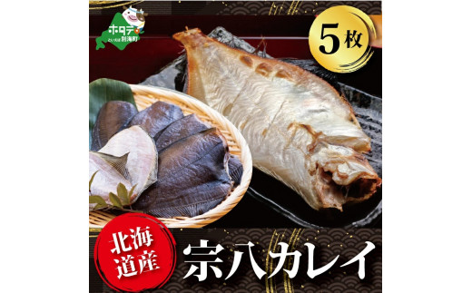 北海道産 一夜干し宗八カレイ ５枚 北海道別海町 ふるさと納税 ふるさとチョイス