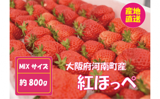 No.260 【紅ほっぺ】MIX（サイズいろいろ）2kg程度 ／ 苺 イチゴ