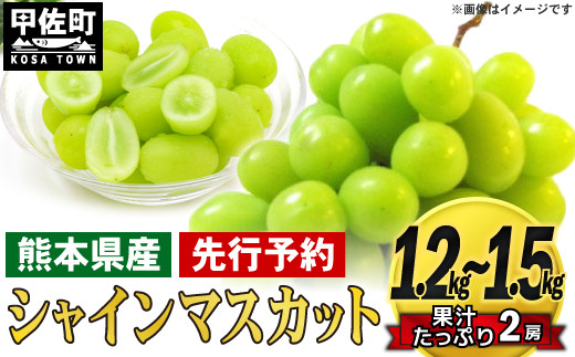 おすすめ ぶどうのふるさと納税を探す ふるさとチョイス