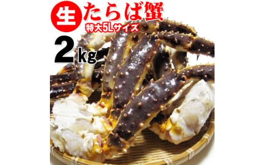 巨大　生タラバ蟹　5L　2kg【1260977】 331805 - 大阪府岸和田市