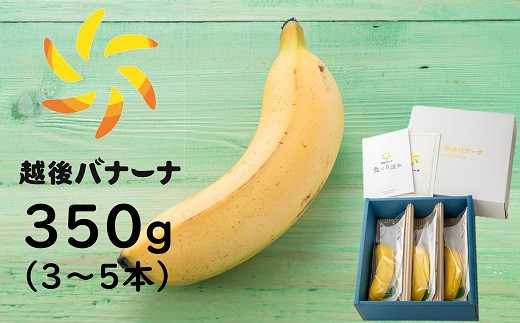 25 皮ごと食べられるバナナ 越後バナーナ 350g 3 5本 新潟県柏崎市 ふるさと納税 ふるさとチョイス