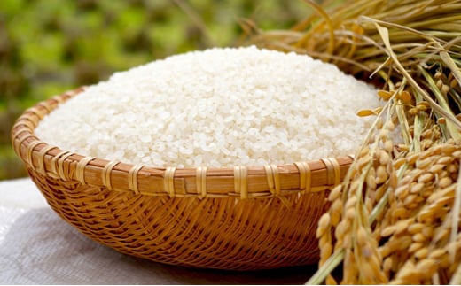 さぬきの米 おいでまい 10kg
