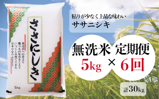 定期便/6ヶ月】進さんのお米「ササニシキ 5kg」×6回(計30kg)【白米・無