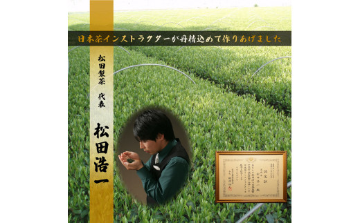 フィルターインボトルセット (水出しほうじ茶（5g×30個）、水出し和紅茶（5g×10個） [AF073ya]