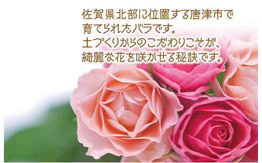 土作りにこだわり環境に配慮しています。そのため
バラ本来の鮮やかな花色や香りを豊かに楽しめます。
暮らしに彩りを♪