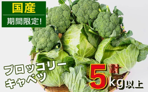 p8-114 【期間限定】国産キャベツ・ブロッコリーセット計5kg以上 427202 - 鹿児島県志布志市