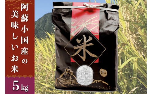 【令和5年】阿蘇小国産の美味しいお米5kg 799096 - 熊本県小国町