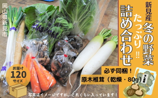 新見市産 冬の野菜詰め合わせセット【11月中旬～12月下旬発送】 776921 - 岡山県新見市