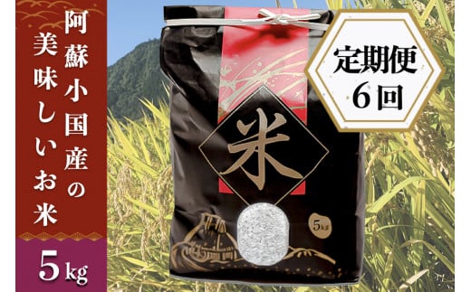 【定期便6回】阿蘇小国産の美味しいお米5kg 799098 - 熊本県小国町