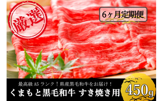 【6ヶ月定期便】熊本県産A5ランク黒毛和牛400g（すき焼き用）