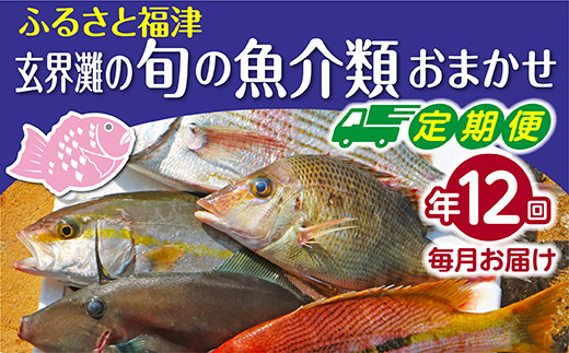 【年12回毎月】福津の旬の魚介類おまかせ定期便【随時開始】[C6450]