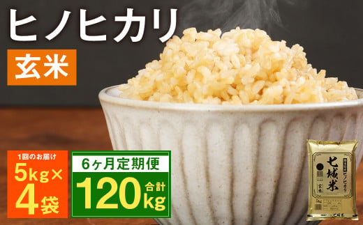 【定期便6ヶ月】熊本県菊池産 ヒノヒカリ 玄米 計120kg（5kg×4袋×6回）米 お米 残留農薬ゼロ 低温貯蔵