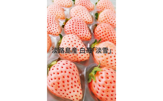 CY89:淡路島産 白いちご 大粒2パック入り