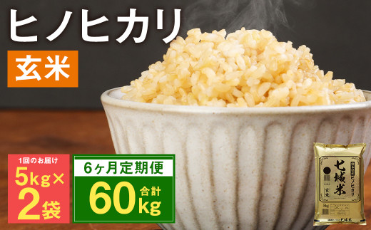 【定期便6ヶ月】熊本県菊池産 ヒノヒカリ 玄米 計60kg（5kg×2袋×6回）