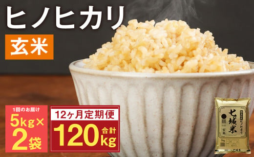 【定期便12ヵ月】熊本県菊池産 ヒノヒカリ 玄米 計120kg（5kg×2袋×12回）
