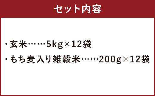 【定期便12ヶ月】熊本県菊池産 ヒノヒカリ 玄米 計60kg もち麦入り雑穀米 計2.4kg