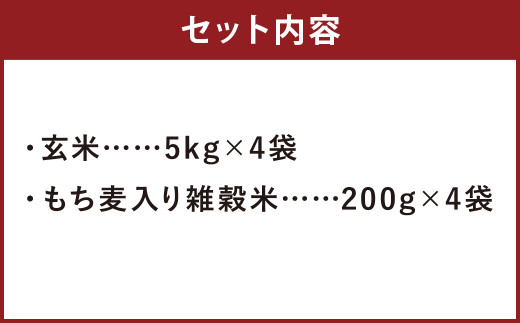 熊本県菊池産 ヒノヒカリ 玄米 20kg(5kg×4袋) もち麦入り雑穀米 800g(200g×4袋) 